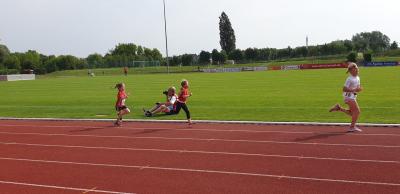 Foto des Albums: Prenzlauer Stadionlauf