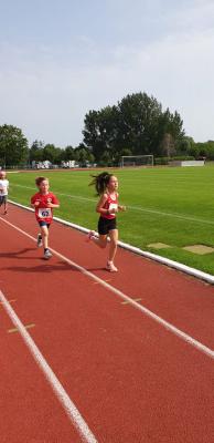Foto des Albums: Prenzlauer Stadionlauf