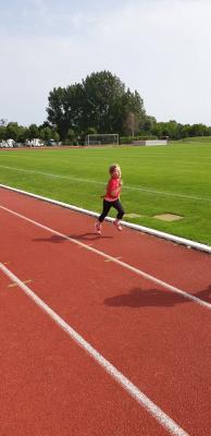 Foto des Albums: Prenzlauer Stadionlauf