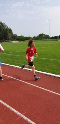 Foto des Albums: Prenzlauer Stadionlauf
