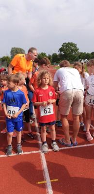 Foto des Albums: Prenzlauer Stadionlauf