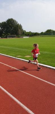 Foto des Albums: Prenzlauer Stadionlauf