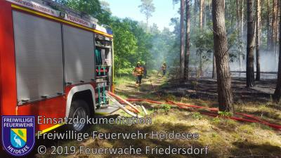 Vorschaubild: Einsatz 48/2019 | 500m² Waldbodenbrand | L39 OV Friedersdorf - Blossin