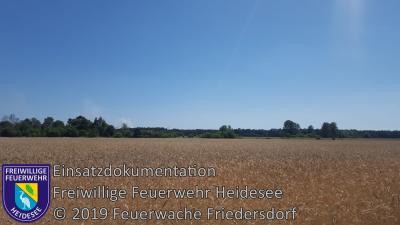 Vorschaubild: Einsatz 48/2019 | 500m² Waldbodenbrand | L39 OV Friedersdorf - Blossin