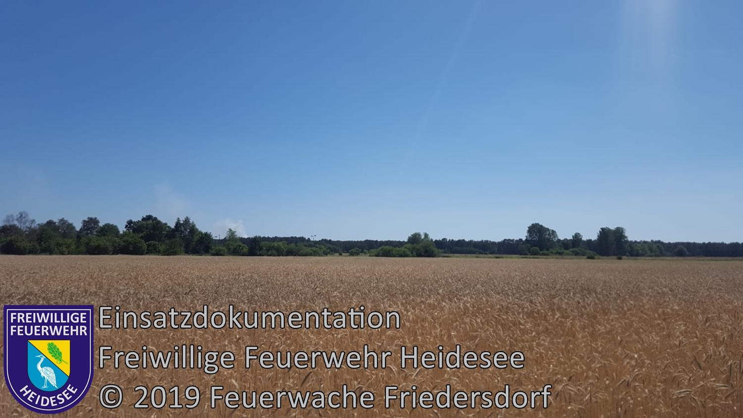 Bild: Einsatz 48/2019 | 500m² Waldbodenbrand | L39 OV Friedersdorf - Blossin