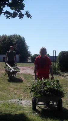 Foto des Albums: Arbeitseinsatz Sportplatz Eppendorf