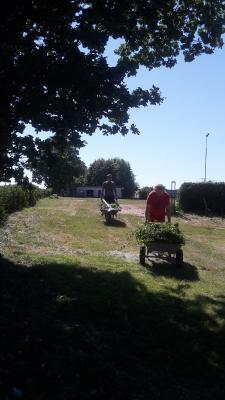 Foto des Albums: Arbeitseinsatz Sportplatz Eppendorf