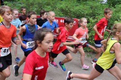 Foto des Albums: Angermünder Wiesellauf