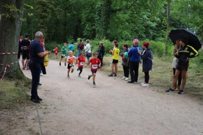 Foto des Albums: Angermünder Wiesellauf