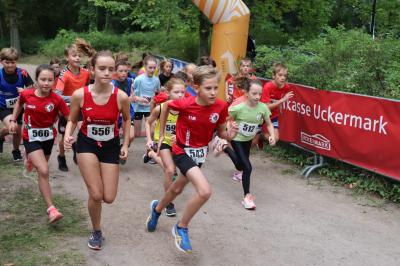 Foto des Albums: Angermünder Wiesellauf