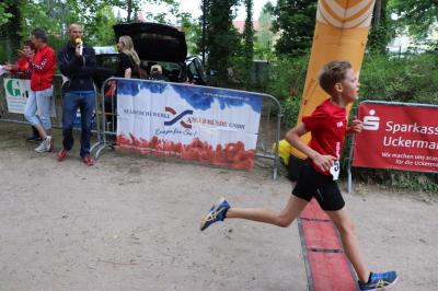 Foto des Albums: Angermünder Wiesellauf