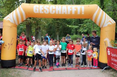 Foto des Albums: Angermünder Wiesellauf