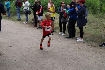 Foto des Albums: Angermünder Wiesellauf
