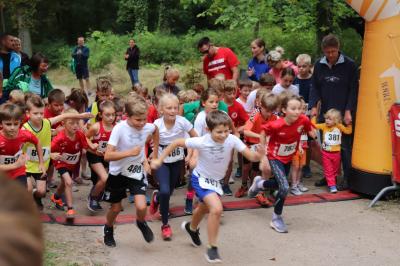 Foto des Albums: Angermünder Wiesellauf