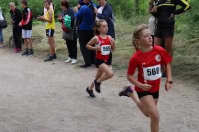 Foto des Albums: Angermünder Wiesellauf