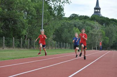Foto des Albums: 40 Jahre Leichtathletik