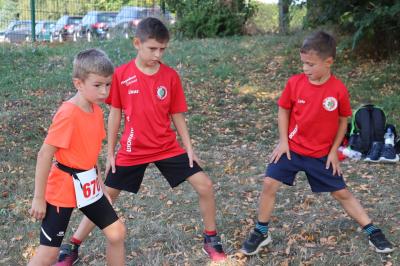 Foto des Albums: Angermünder Sommerlauf