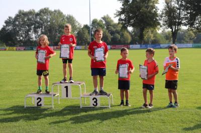 Foto des Albums: Angermünder Sommerlauf