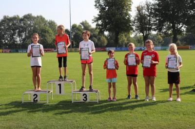Foto des Albums: Angermünder Sommerlauf