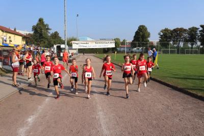 Foto des Albums: Angermünder Sommerlauf