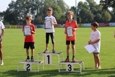 Foto des Albums: Angermünder Sommerlauf
