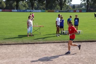 Foto des Albums: Angermünder Sommerlauf