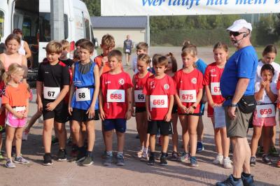 Foto des Albums: Angermünder Sommerlauf