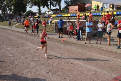 Foto des Albums: Angermünder Sommerlauf