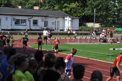 Foto des Albums: LM U12 - U14 Königs Wusterhausen