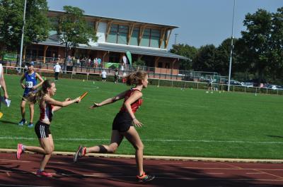 Foto des Albums: LM U12 - U14 Königs Wusterhausen
