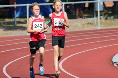 Foto des Albums: LM U12 - U14 Königs Wusterhausen