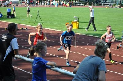Foto des Albums: LM U12 - U14 Königs Wusterhausen