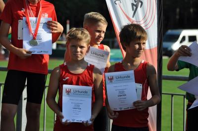Foto des Albums: LM U12 - U14 Königs Wusterhausen