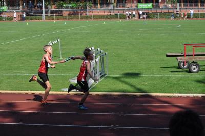 Foto des Albums: LM U12 - U14 Königs Wusterhausen