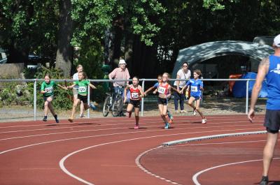 Foto des Albums: LM U12 - U14 Königs Wusterhausen