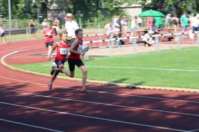 Foto des Albums: LM U12 - U14 Königs Wusterhausen