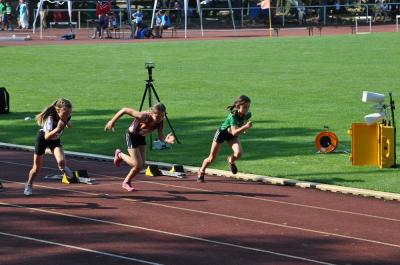 Foto des Albums: LM U12 - U14 Königs Wusterhausen