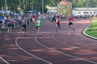Foto des Albums: LM U12 - U14 Königs Wusterhausen