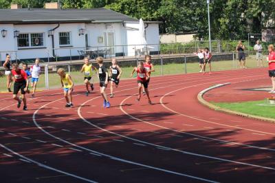Foto des Albums: LM U12 - U14 Königs Wusterhausen