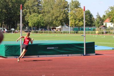 Foto des Albums: LM U12 - U14 Königs Wusterhausen