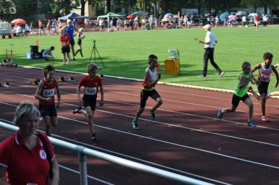 Foto des Albums: LM U12 - U14 Königs Wusterhausen