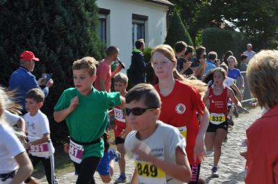 Foto des Albums: Schorfheidelauf Altkünkendorf
