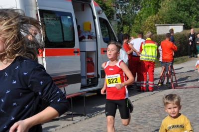 Foto des Albums: Schorfheidelauf Altkünkendorf