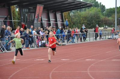 Foto des Albums: Abendsportfest Prenzlau