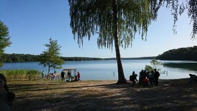 Foto des Albums: Waldfest 2019