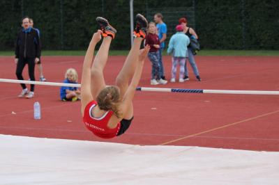 Foto des Albums: Torgelower Bahnabschluss