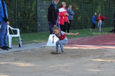 Foto des Albums: Torgelower Bahnabschluss