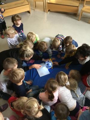 Foto des Albums: Religionspädagogischer Morgenkreis "Noah´s Arche"