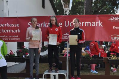 Foto des Albums: Templiner Lübbeseelauf (22.​09.​2019)