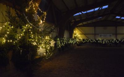 Foto des Albums: Unsere Nikolausfeier